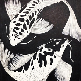 Koi fish