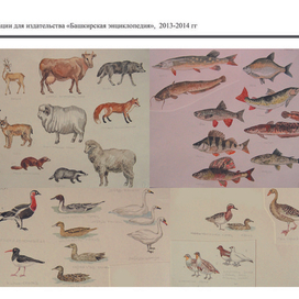 иллюстрации для издательства "Башкирская энциклопедия""