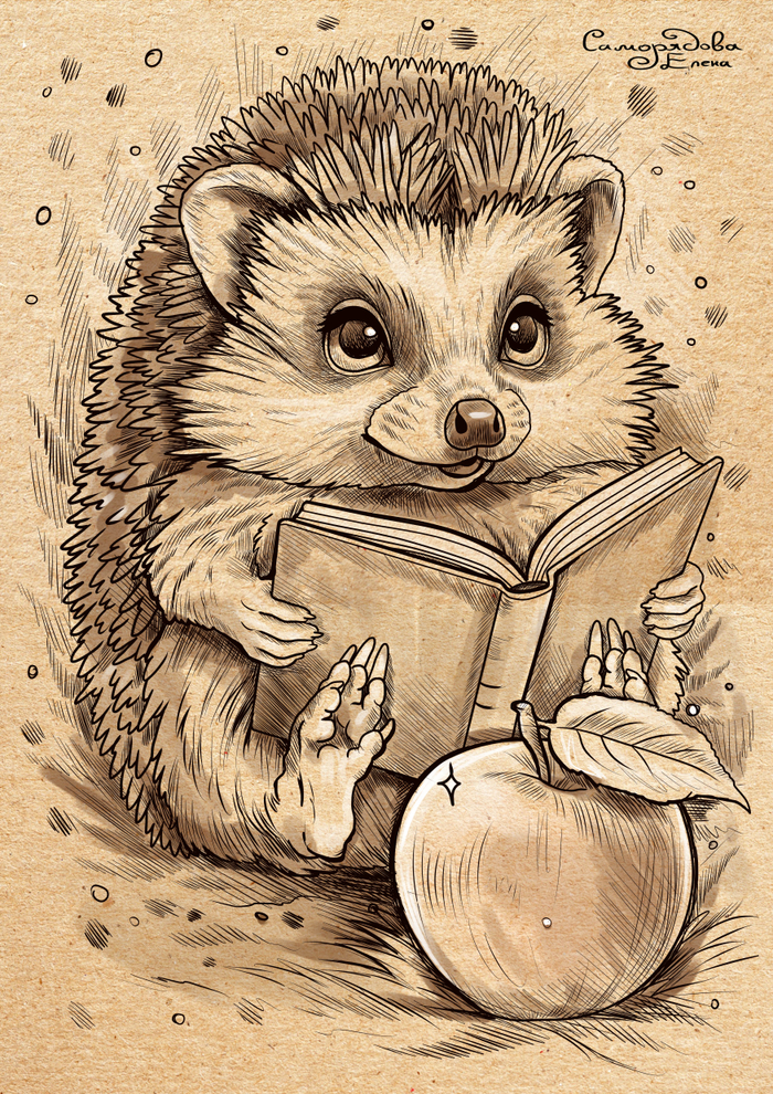 Иллюстрация для книги 