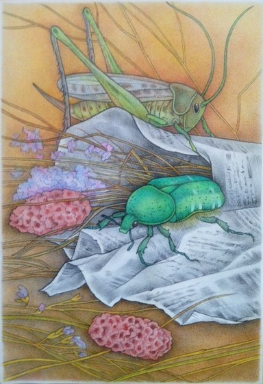 Пассажиры из свёртка