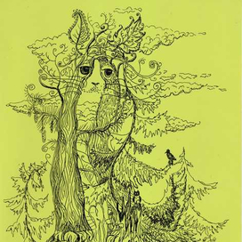 Котодерево