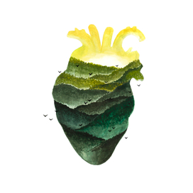 Сердце леса