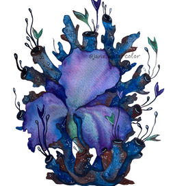 Ирис и губка