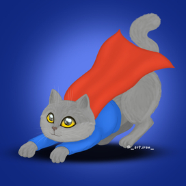 СуперКэт Мика