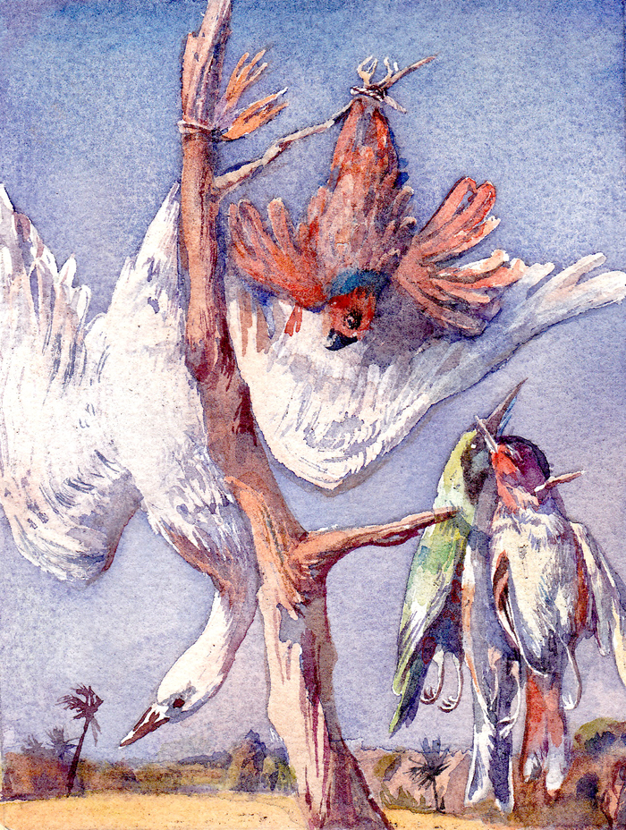 Д. Дэфо "Робинзон Крузо"