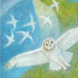 Охотник и морской житель 3