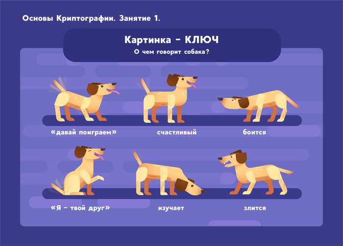 Карточка к занятиям