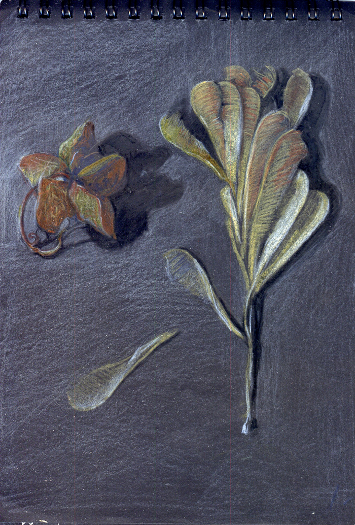 коробочка и вертолётик