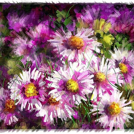 розовые цветы