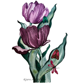 Сиреневые тюльпаны