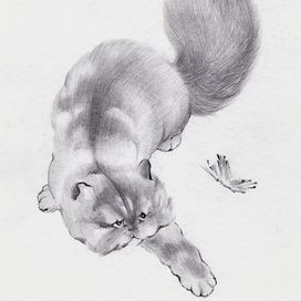 кошка с бабочкой