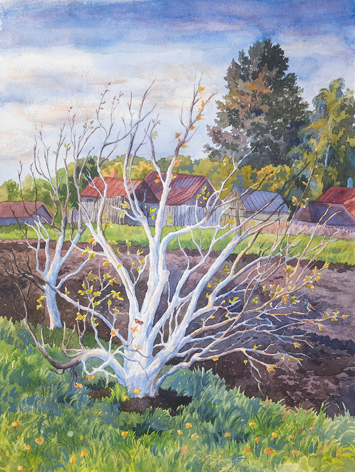 «Белые руки весны»