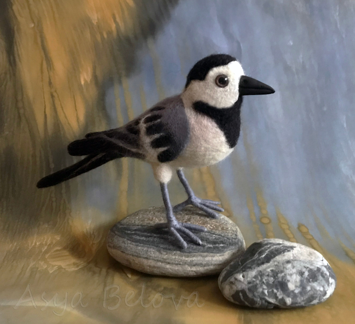 Трясогузка