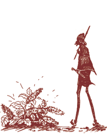 Кофейное дерево