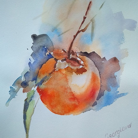 Сладкая хурма