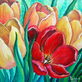 Тюльпаны