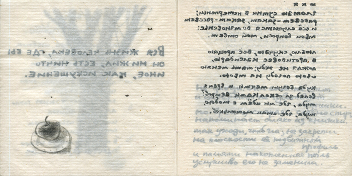 Книга «Естественный ход вещей» 2013