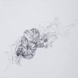 зарисовочка