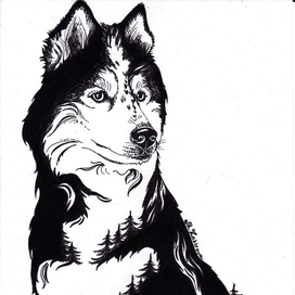 Тест принта на тему "Север"