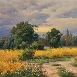 Пшеничное поле