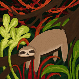 Уставший ленивец