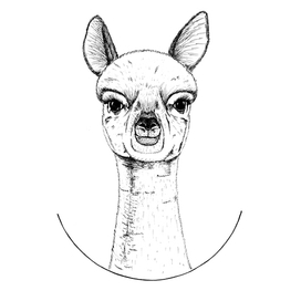 Llama Alpaca