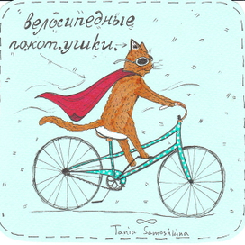 велосипедные покотушки 