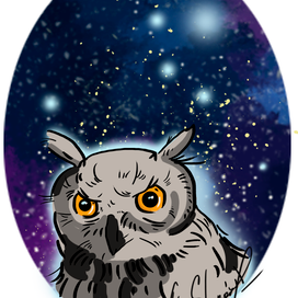Космическая Сова