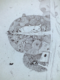 Птичья мечта