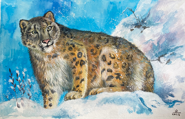 Снежный барс. Ирбис 