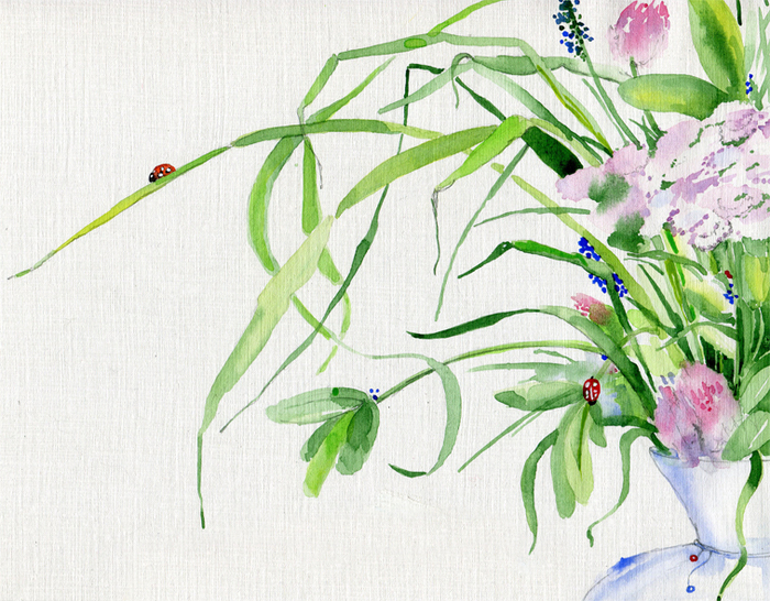 летние травы