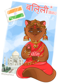 Кошка из Индии