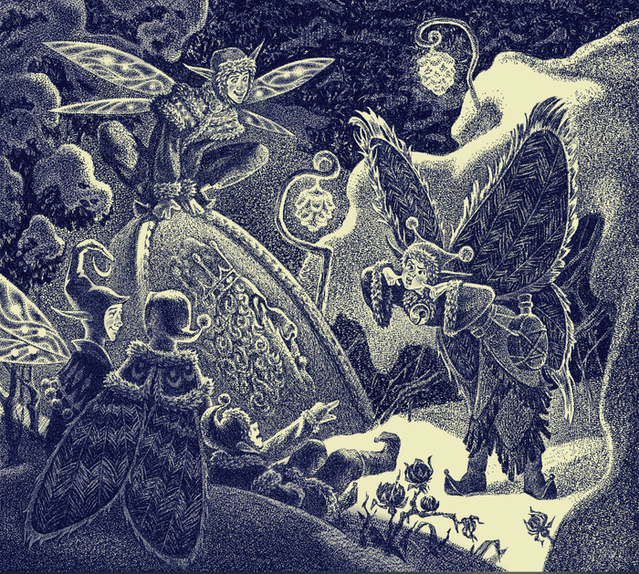 Северные феи и необычная находка