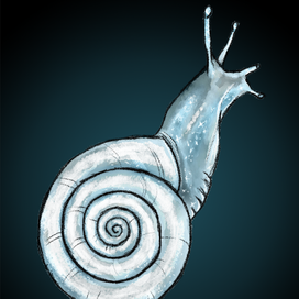Хрустальная улитка/Crystal snail