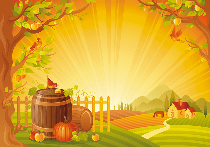 Сбор урожая