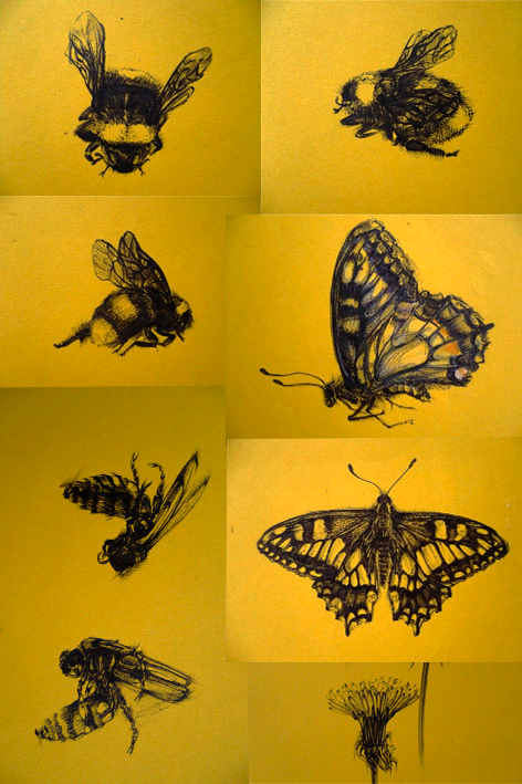 летние зарисовки....