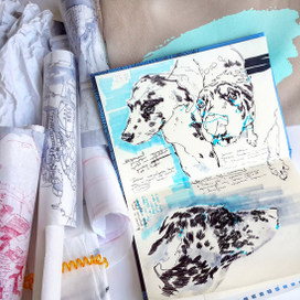 Иллюстрации 