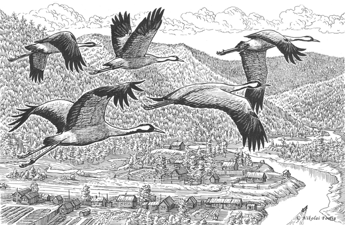 Журавлиные Дали.