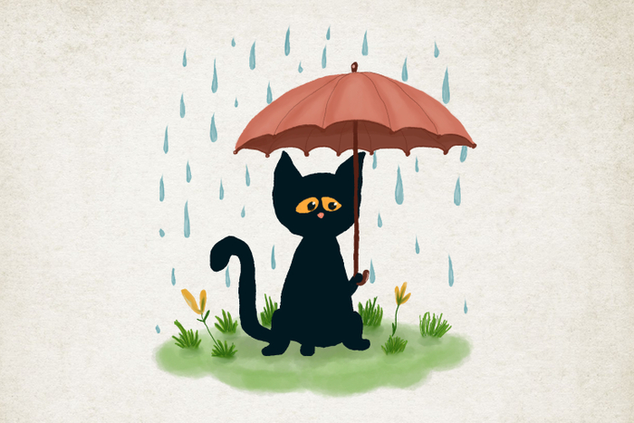 Снова осень 