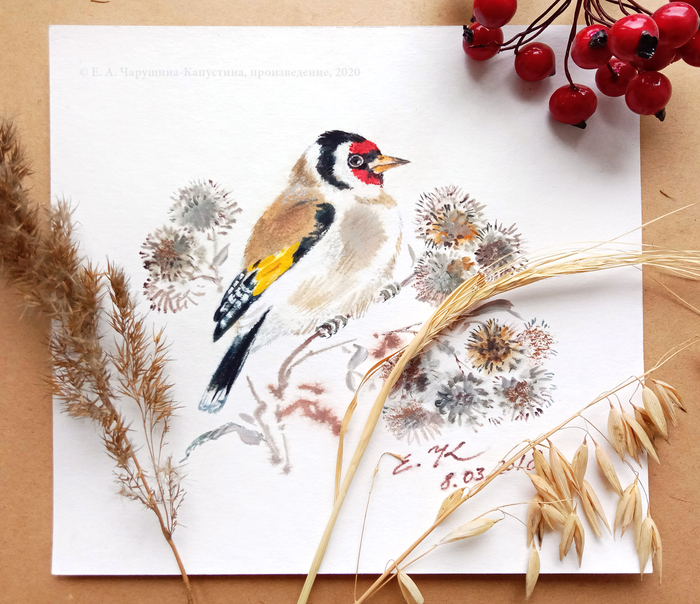 Открытка "Щегол"