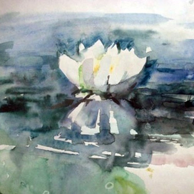 Белая лилия. Этюд