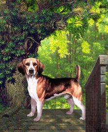 Акинфий. Солнечный денёк.