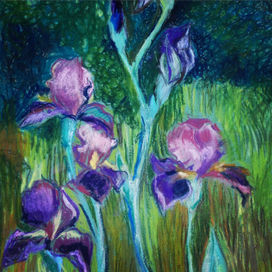 Ирис