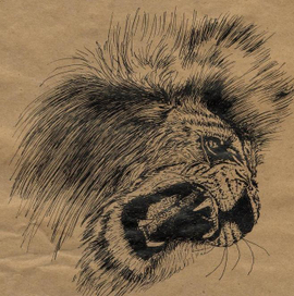 Лев сердится...