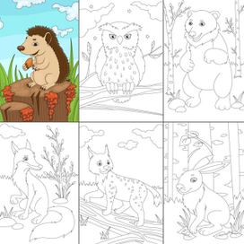 Раскраска "Животные средней полосы"