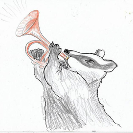 барсук трубит