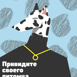 Примеры моих работ 