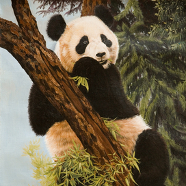 Большая панда