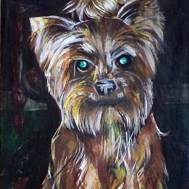 неш брейф всегда с нами