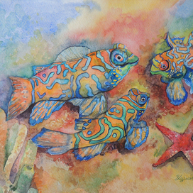 Рыбки мандаринки.